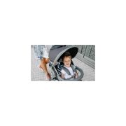 Lionelo - Carucior sport Elia, Cu husa de picioare, Cu plasa de tantari, Conform cu standardul european de securitate EN1888-1, Gri inchis BYNLO-ELIA_GREY_WHITE