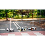 Lionelo - Trotineta pentru copii, Jessy, Pliabila, Pana la 50 Kg, Cu design ergonomic, Cu lumini LED, 56 x 26 x 67-82 cm, 3 ani+, Verde BYNLOE-JESSY_GREY_GREEN