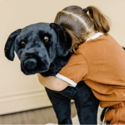 Catel labrador negru gigant din plus - okemd2117