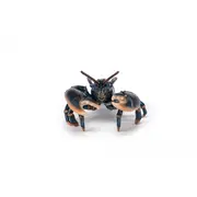 PAPO FIGURINA HOMAR VIVPapo56052