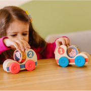 Set de doua masinute din lemn colectia go tots - okemd30737