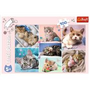 PUZZLE TREFL 100 IN LUMEA PISICILOR VIV16420