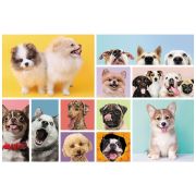 PUZZLE TREFL 160 PRIETENIA CATELUSILOR VIV15412