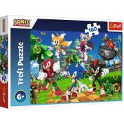 PUZZLE TREFL 160 SONIC SI PRIETENII VIV15421