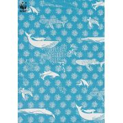 Marsupiu isara the one marine life oceania
