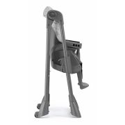 Scaun De Masa Multifunctional Pentru Bebelusi Si Copii, Cam   Pappananna, Inaltime Ajustabila, Varsta 6-36 Luni, Pliabil, Centura De Siguranta In 5 Puncte, Depozitare, Gri Pjb9225329