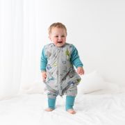 Sac de dormit cu picioruse si maneca lunga detasabila Dinosaur 70 cm + manseta 2.5 Tog BBXCJ900-25FSN