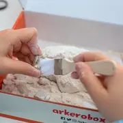 Arkerobox - Set arheologic educational si puzzle 3D, Efes - Biblioteca Celsus JEMARK2292