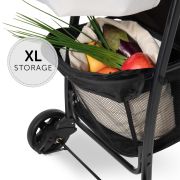 Carucior bebelusi si copii, 0 – 4 ani, Hauck Sport, Pooh Exploring EKD17153-0