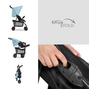 Carucior bebelusi si copii, 0 - 4 ani,  Hauck Sport, Blue EKD17152-3