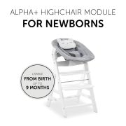 Sezlong Alpha Bouncer 2in1, Pastel Bear - Light Grey EKDhk61833