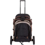 Carucior sport chipolino combo golden beige hublkco02403gb