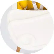 Scaun de masa chipolino rio 2 in 1 mango hubsthri02305ma