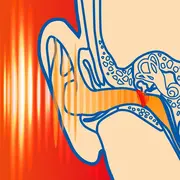 Dopuri de urechi pentru adulti, pentru protectia auzului impotriva zgomotului, SNR 37dB, 12 bucati, spuma, verde, SANOHRA Max