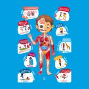 Puzzle pentru copii - Corpul Uman (61 piese)