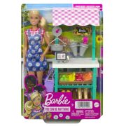 BARBIE PAPUSA BARBIE YOU CAN BE VANZATOARE LA MARKET VIVMTHCN22