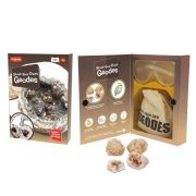 Kit geologic - geode