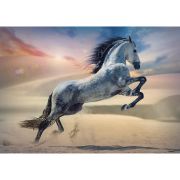 PUZZLE TREFL 1000 CALUL MAIESTUOS VIV10790