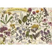 PUZZLE TREFL 500 PLANTE SI FLORI SALBATICE VIV37478