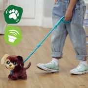 FURREAL CU CATELUL LA PLIMBARE VIVE3504_F1996