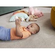 FISHER PRICE JUCARIE ZORNAITOARE GASCA VIVMTHRB19_HRB22