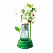 GRADINA MEA STIINTA JOACA VIV1026-50906