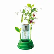 GRADINA MEA STIINTA JOACA VIV1026-50906