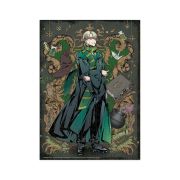 Puzzle harry potter - draco malfoy (250 piese)