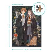 Puzzle harry potter - hermione si ronald ( 300 piese)