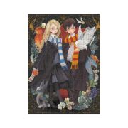 Puzzle harry potter - luna si harry (300 piese)