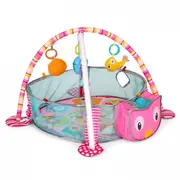 Salteluta de joaca cu bile si jucarii ecotoys 88970 edeedi88970