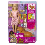 BARBIE SET PAPUSA BARBIE SI CATELUSII VIVMTHCK75
