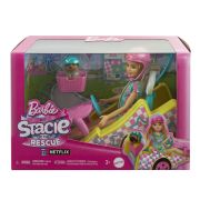 BARBIE SI STACIE PAPUSA STACIE CU KART VIVMTHRM08