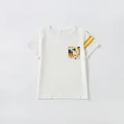 Set pentru intreaga familie - Floarea soarelui AD9721