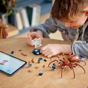 LEGO HARRY POTTER TM ARAGOG IN PADUREA INTERZISA 76434 VIVLEGO76434
