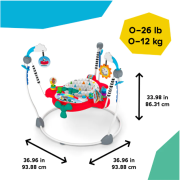 Baby einstein - centru de activitati airplaine jumper  bbb11710