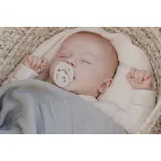 Bibs - muselina swaddle 120x120 cm, sage bbb9402250