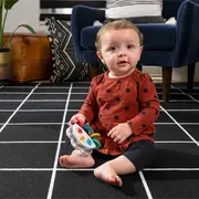 Baby einstein - jucarie muzicala si zornaitoare "tiny tambourine" bbb12925