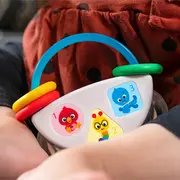 Baby einstein - jucarie muzicala si zornaitoare "tiny tambourine" bbb12925
