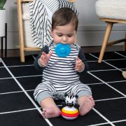 Baby einstein - jucarie zornaitoare si dentitie zen, fara bpa bbb16709