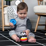 Baby einstein - jucarie zornaitoare si dentitie zen, fara bpa bbb16709