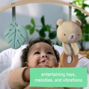 Ingenuity - balansoar pentru bebelusi cozy spot soothing bbb13104