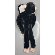 Maimuta care se agata cimpanzeu cu pui wr15265