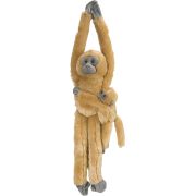 Maimuta care se agata com langur cu pui wr15262