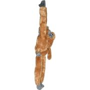 Maimuta care se agata com langur cu pui wr15262