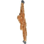 Maimuta care se agata com langur cu pui wr15262