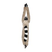 Maimuta care se agata lemur wr15261