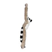 Maimuta care se agata lemur wr15261