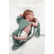 Salopeta Bebelusi Cu Maneca Lunga Si Botosei, Inchidere Cu Fermoar, Verde Cactus, Marimea 68 Pjb4195849