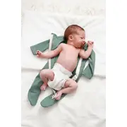 Salopeta Bebelusi Cu Maneca Lunga Si Botosei, Inchidere Cu Fermoar, Verde Cactus, Marimea 68 Pjb4195849